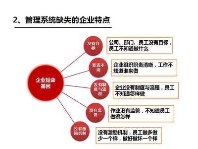 企业管理咨询|年度经营计划与全面预算管理|管理系统-思博集团